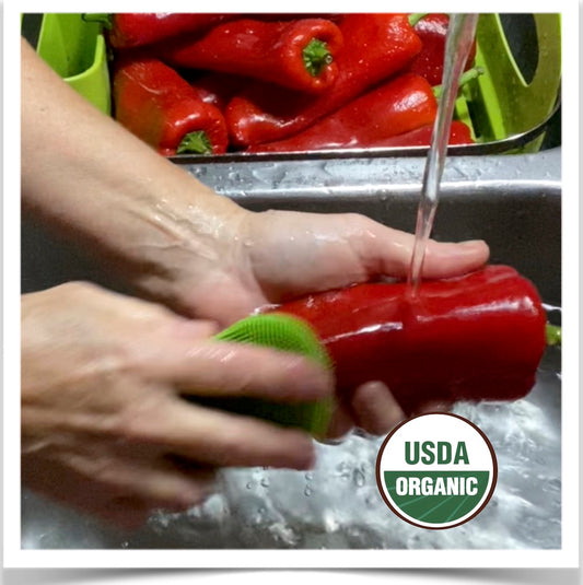 Washing red Ancho Poblano peppers at Prairie Road Organic Seed