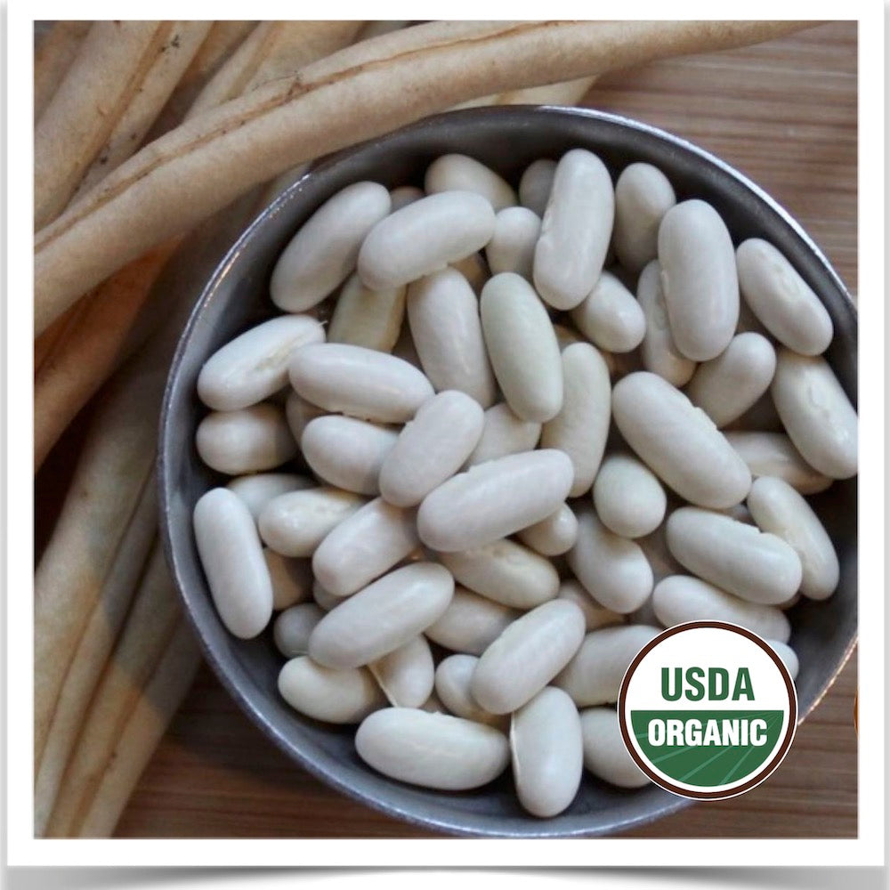 Prairie Road Organic Seed White Rice bean organic green bean seed.