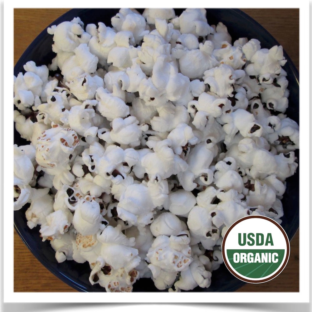 A bowl of Prairie Road Organic Seed Dakota Black Pop popcorn  popped and ready to eat.