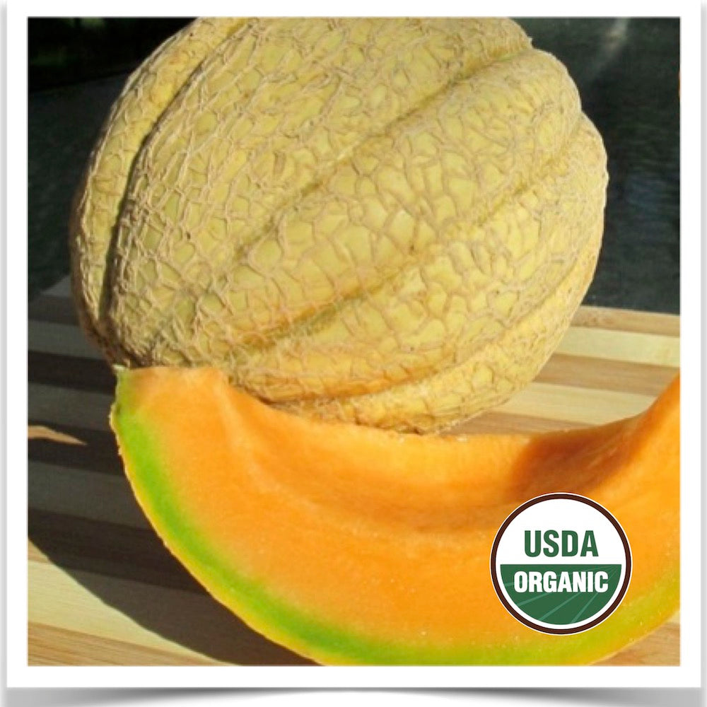 Prairie Road Organic Seed Dakota Sisters muskmelon organic melon seed