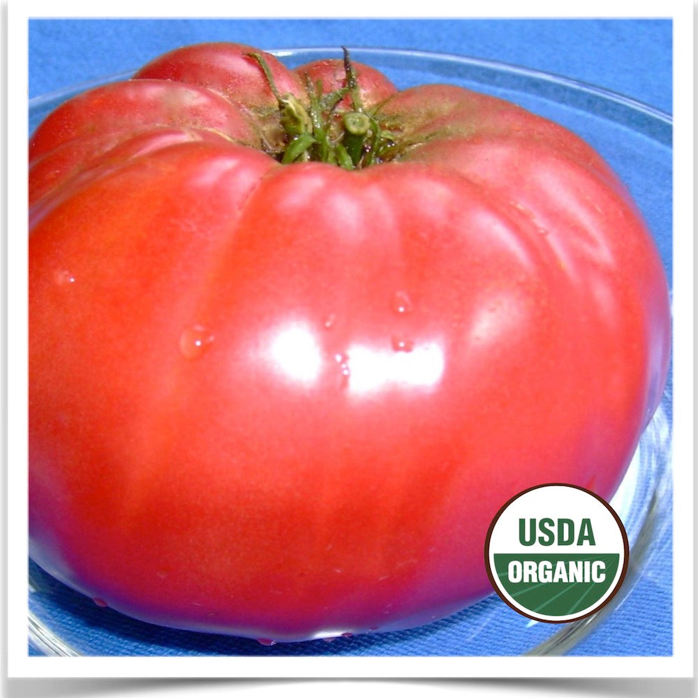CERTIFIED ORGANIC SEED- Tomato: Brandywine -Prairie Road Organic Seed