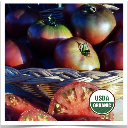Prairie Road Organic Seed Cherokee Purple tomato grown from certified organic seed.