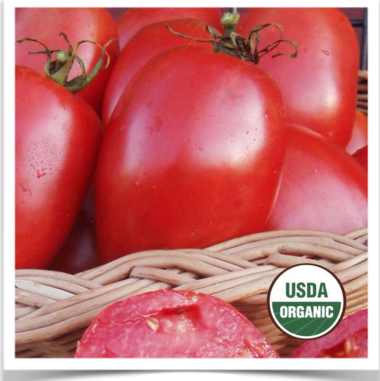 Prairie Road Organic Seed Amish Paste tomato grown from certified organic seed