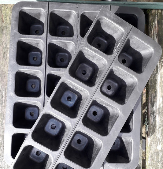 Plastic Free Gardening Using Natural Rubber Seed Trays-- PART II