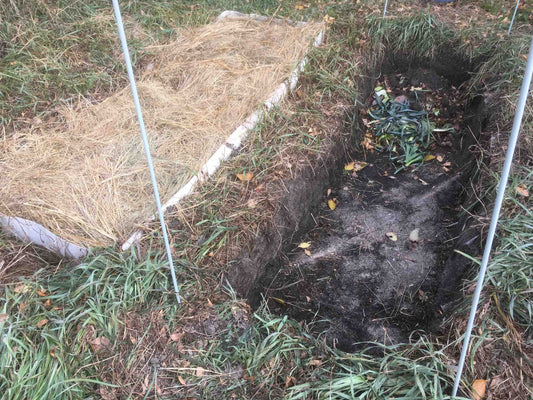 'No work' pit composting-- letting the microbes and worms do the work for you!