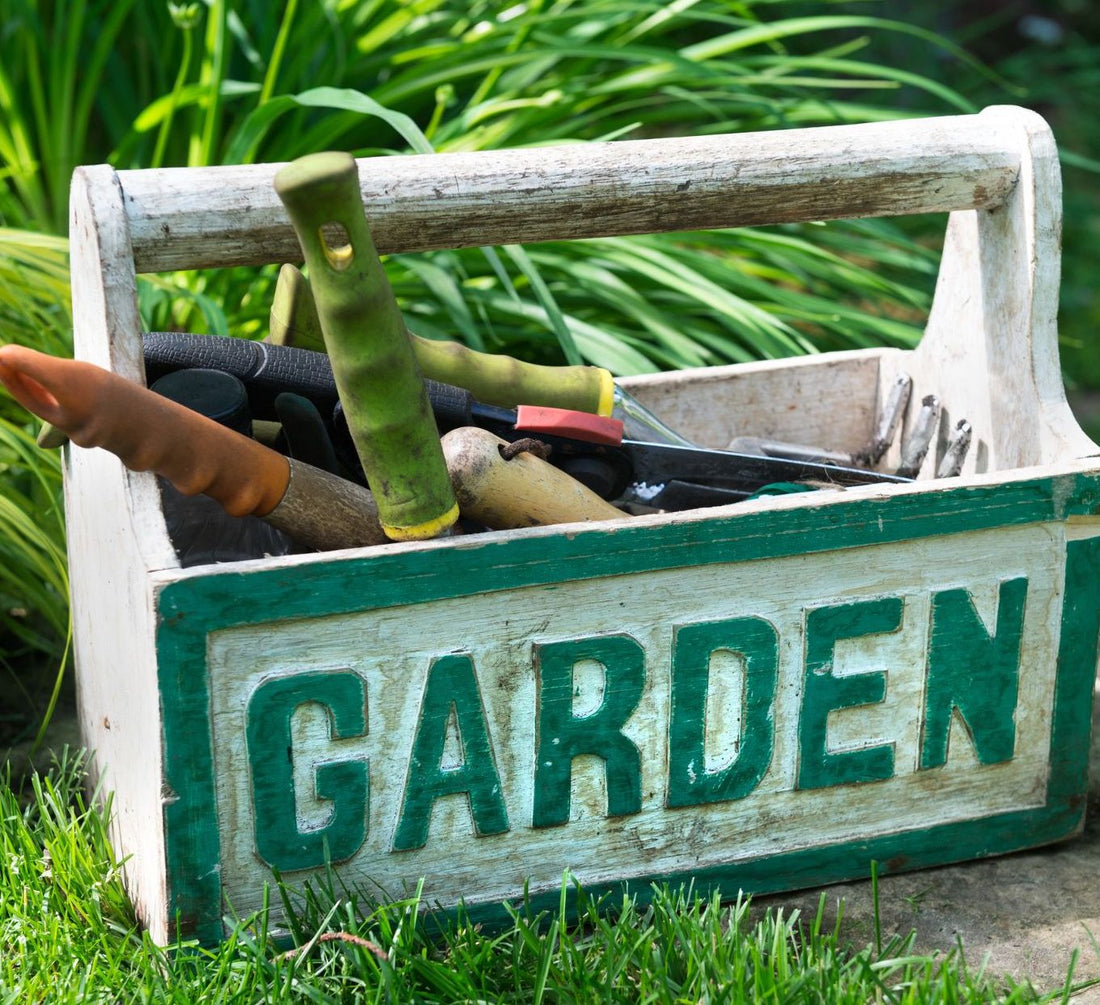 Your March Gardening Checklist: Get Ready For Spring Growth! – Prairie ...