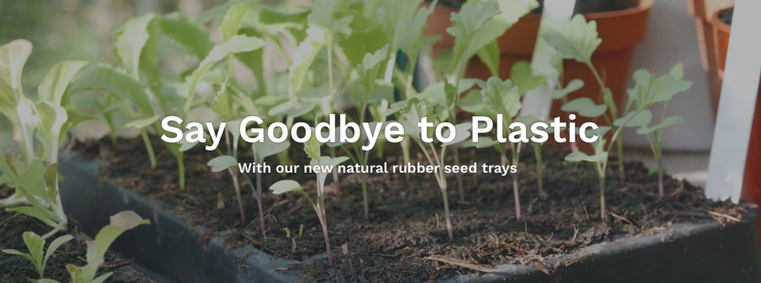 Tired of those plastic seed trays? Wanna be more sustainable...
