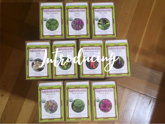 Ten 'new' varieties to consider growing in next year's garden!