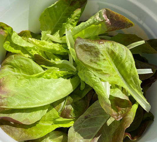 NEW July Checklist: Essential, Must-Do, Pay Attention, And You Need To!