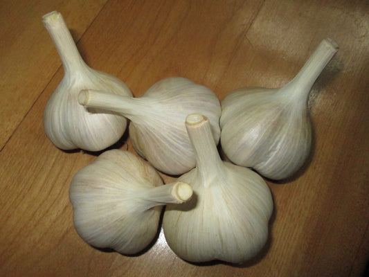 Got Garlic? Why -n- how!