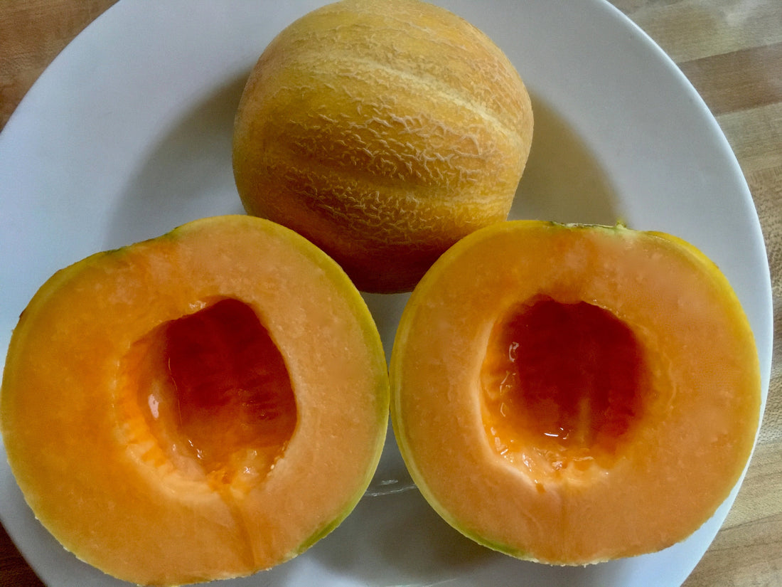 How To Score Continuous Harvests with Succession Planting