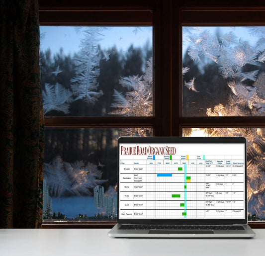"UHH! I don't know where to start..." START HERE!!