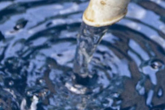 #5 Gardening Fundamental-- How To Water Judiciously