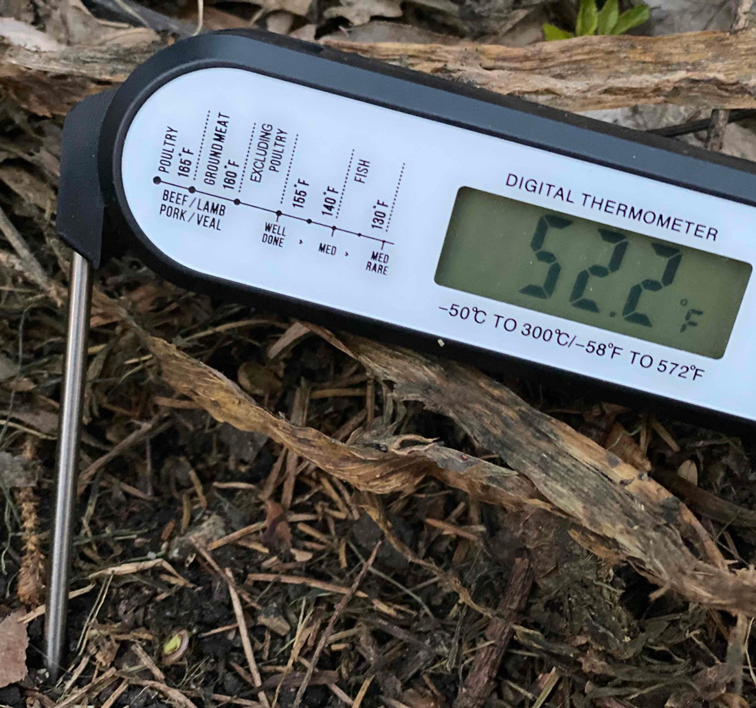 Growing Your Best Garden Yet: Why Planting at the Right Soil Temperature Matters