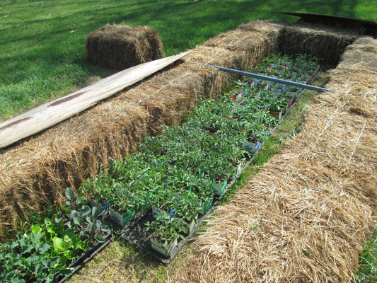 Time for the NEXT phase in your Garden Plan— Download your free Prairie Road Direct Seeding Planner!