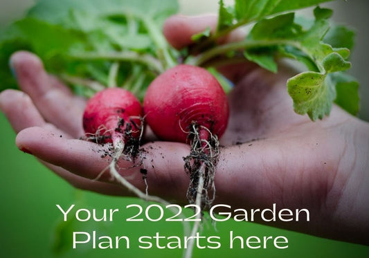 2022 Prairie Road Organic Seed garden plan with two radishes in hand grown from certified organic seed