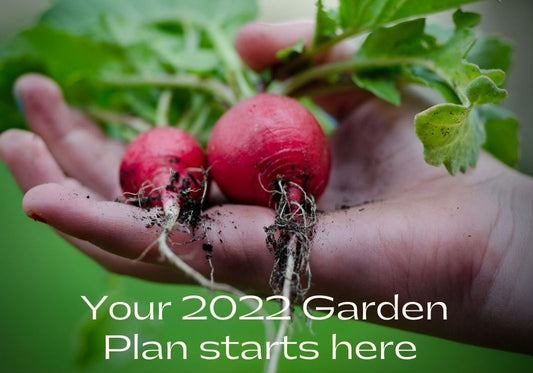 2022 Prairie Road Organic Seed garden plan with two radishes in hand grown from certified organic seed