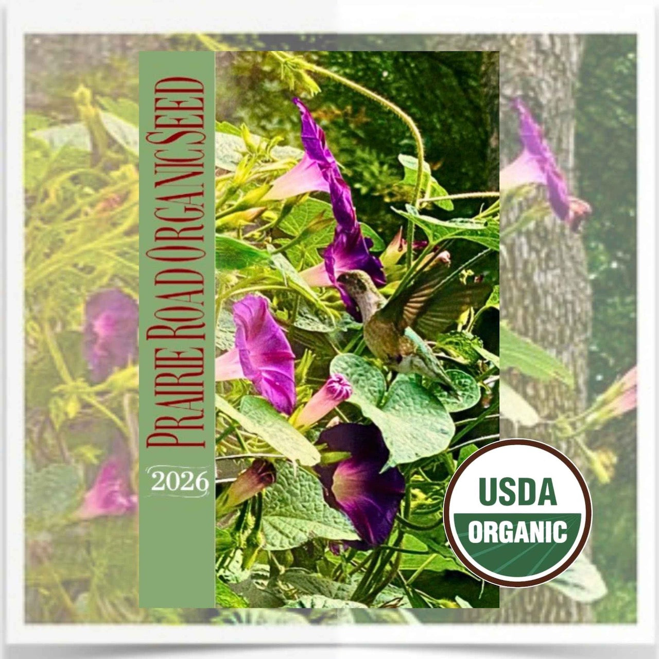 2026 Prairie Road Organic Seed catalog is now available.