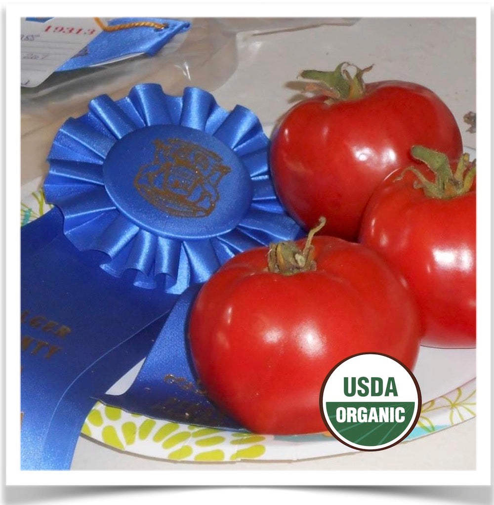Prairie Road Organic Seed Dakota Sport tomato grown from certified organic seed