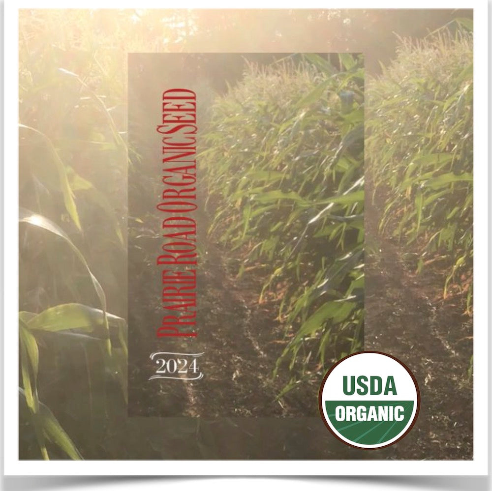 2024 Prairie Road Organic Seed Catalog is available to order here.
