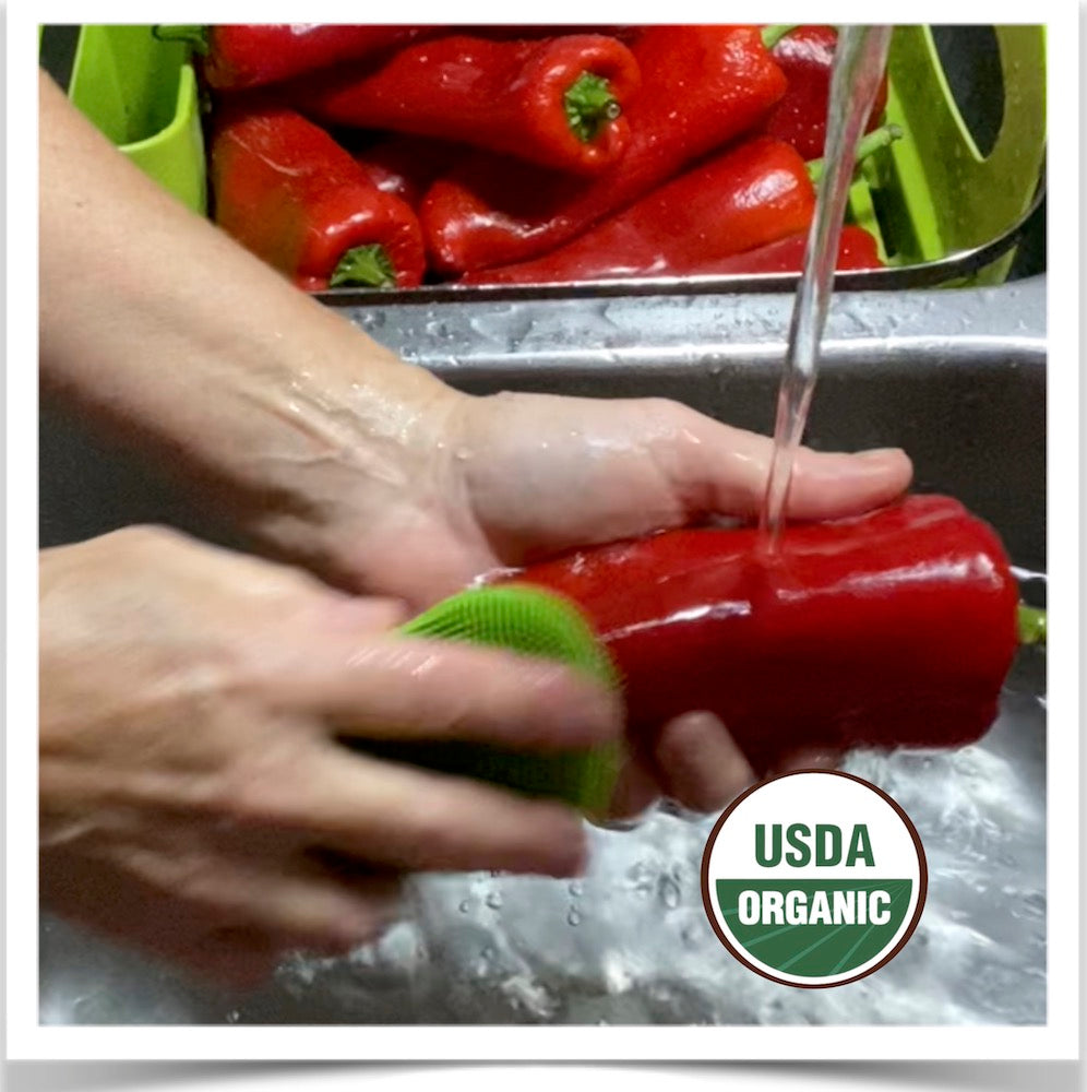 Washing red Ancho Poblano peppers at Prairie Road Organic Seed