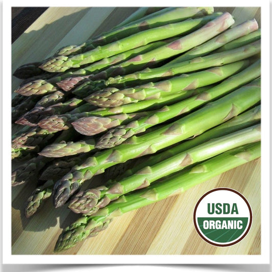 Prairie Road Organic Seed Viking asparagus grown from organic seed cut with spears laying on table.