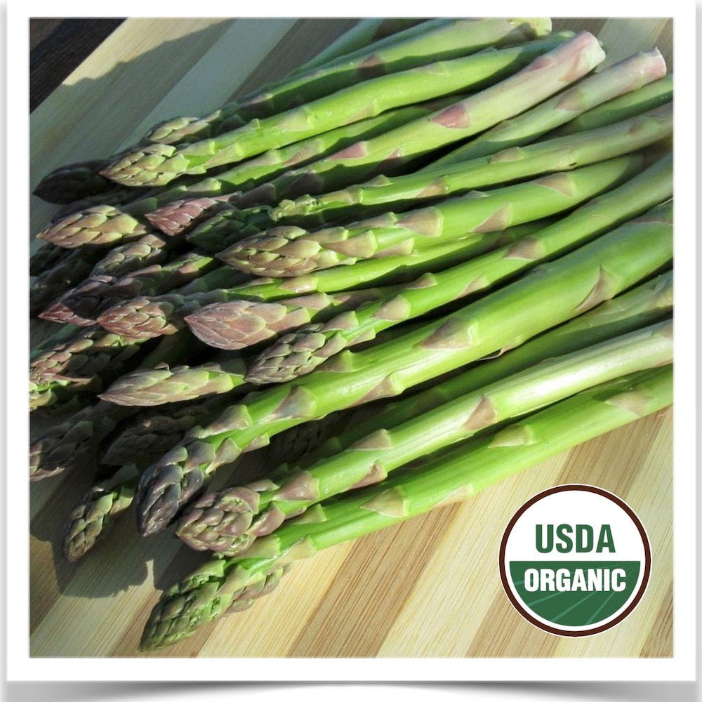 Prairie Road Organic Seed Viking asparagus grown from organic seed cut with spears laying on table.