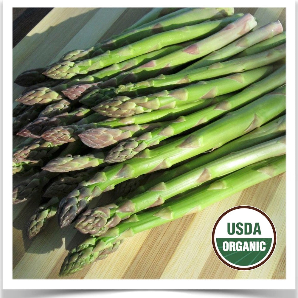 Prairie Road Organic Seed Viking asparagus grown from organic seed cut with spears laying on table.