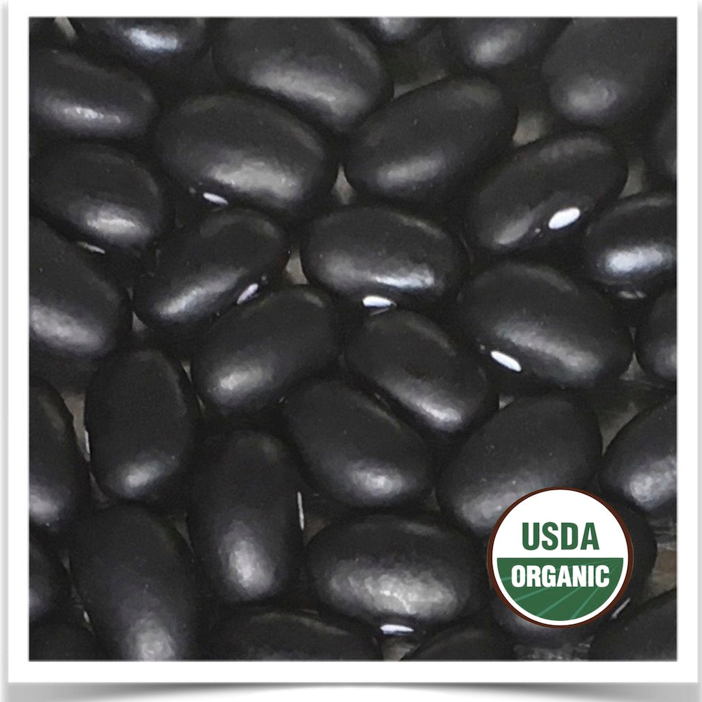 Prairie Road Organic Seed Black Turtle dry beans grown from certified organic seed.