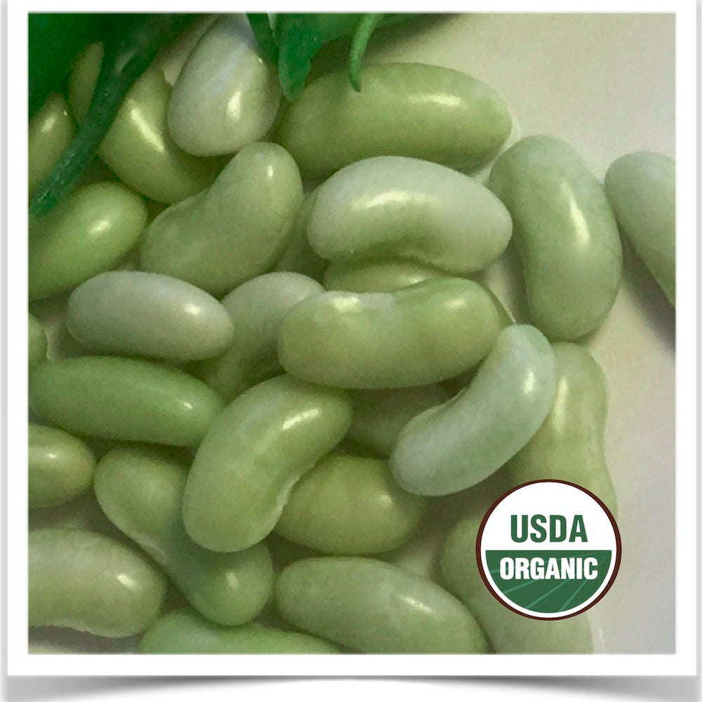 Prairie Road Organic Seed French flageolet beans, Flagrano, grown from certified organic seed.
