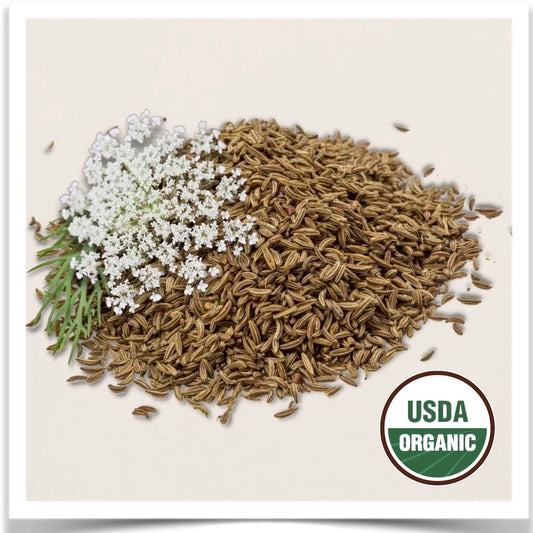 Certified organic Caraway seed grown at Prairie Road Organic Seed