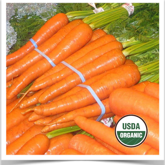 Nash's Best certified organic carrot seed; grow big beautiful bunches of organic carrots!