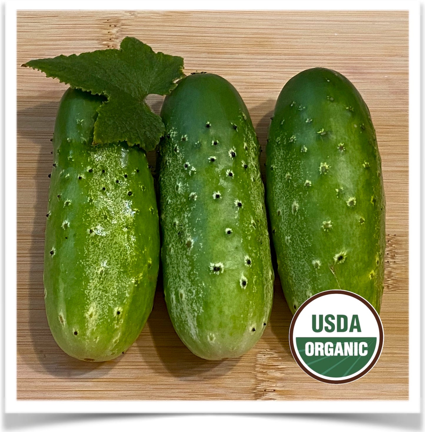 Cucumber: Double Yield