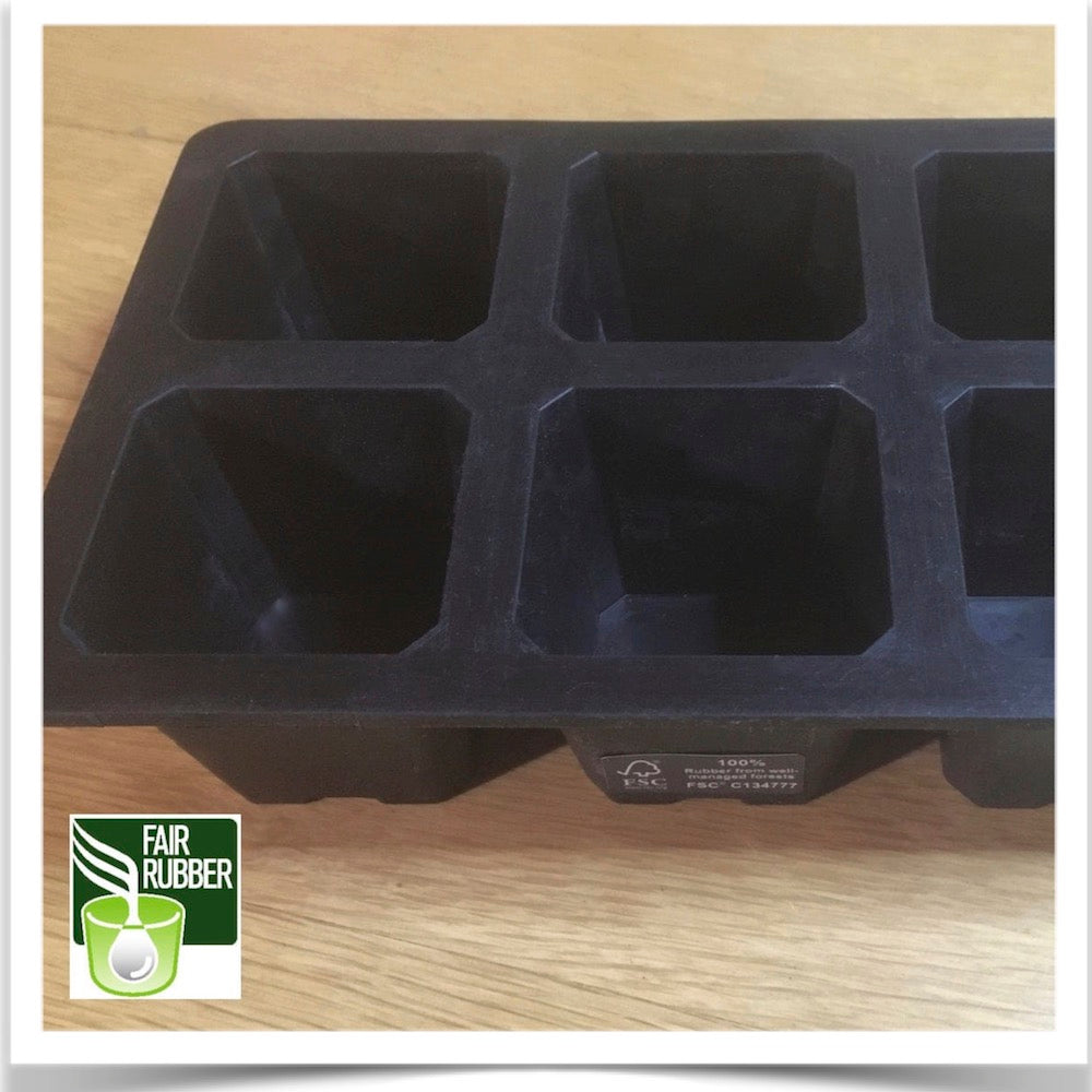 Top view of the 6 cell natural rubber seed tray