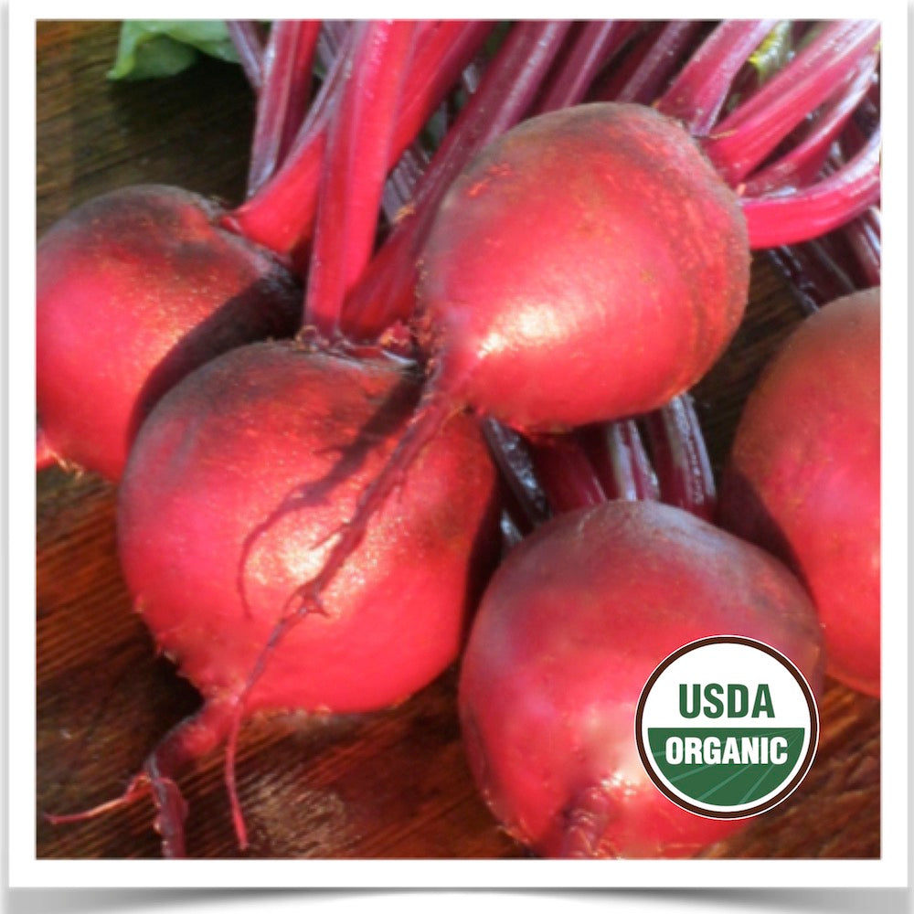 Freshly harvested organic Sweet Dakota Bliss beets grown from certified organic seed.