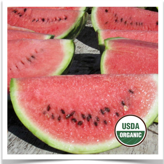 Big slices of Prairie Road Organic Seed Sweet Dakota Rose watermelon ready to eat!