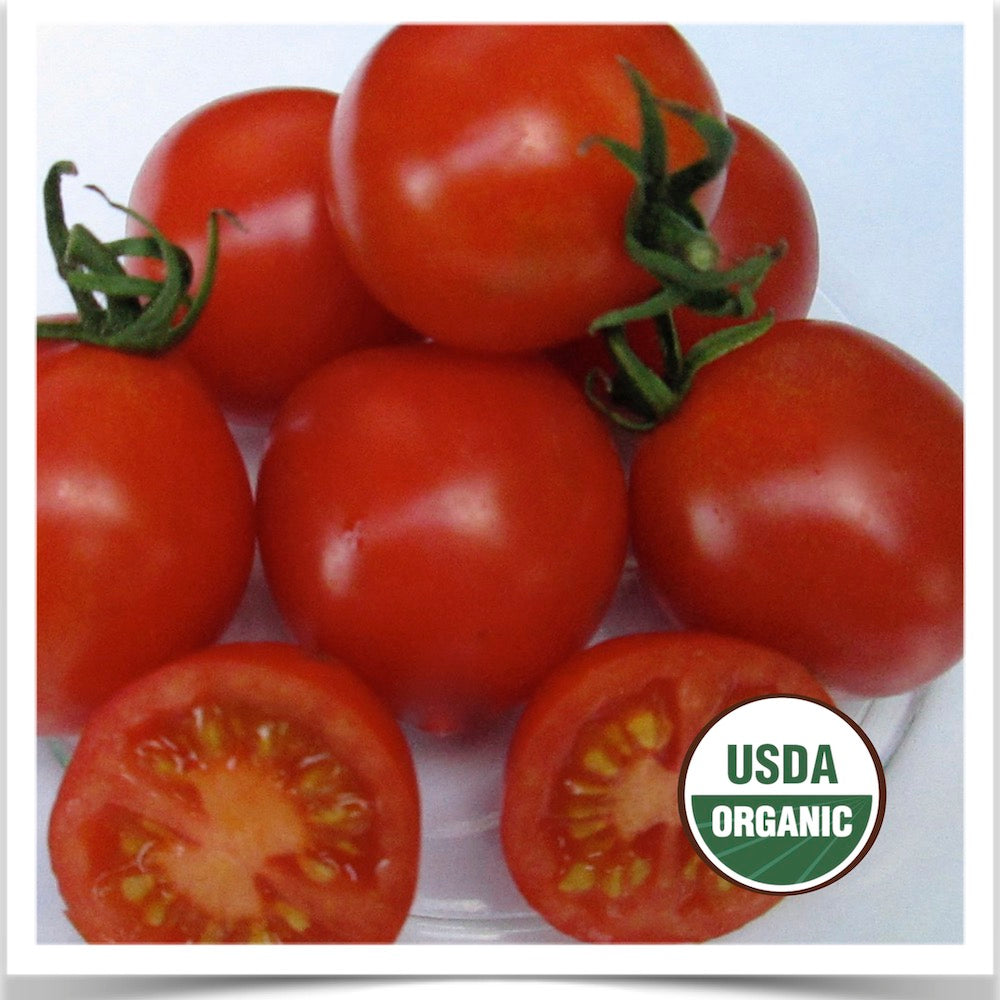 A bowl of Prairie Road Organic Seed Koralik tomato grown from certified organic seed.