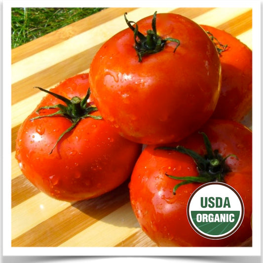 Prairie Road Organic Seed Cannonball tomato grown from certified organic seed