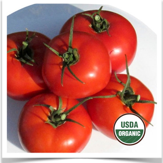 Prairie Road Organic Seed Wisconsin 55 tomato grown with certified organic seed.