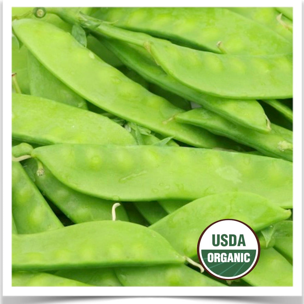 A pile of Blizzard snow peas picked from the garden and ready to eat at Prairie Road Organic Seed.