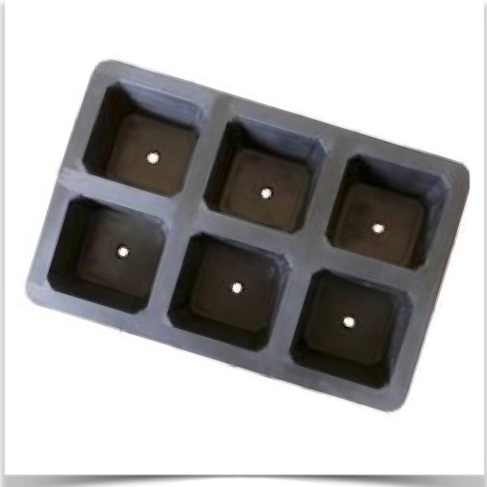Top view of the 6 cell natural rubber seed tray for your organic seed starts.