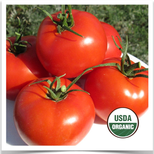 Organic Crimson Sprinter tomato grown with certified organic seed.