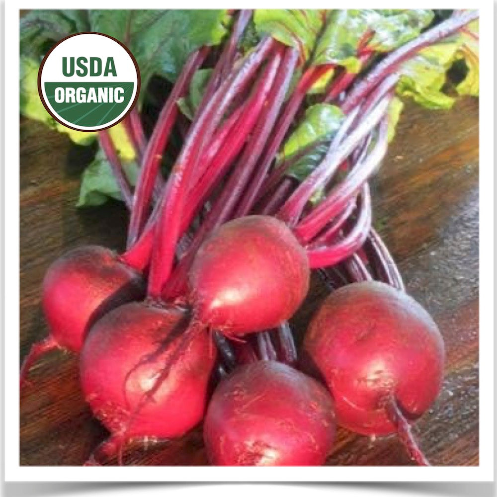 Organic Sweet Dakota Bliss beets and greens grown from certified organic seed.